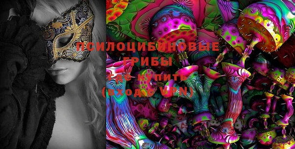 прущие крисы Баксан